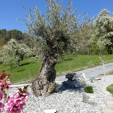 Suessenmuehle Mit Viel Privatsphaere, Direkt Am Naturbadestrand Appartement