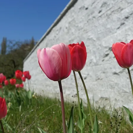Suessenmuehle * Sipplingen