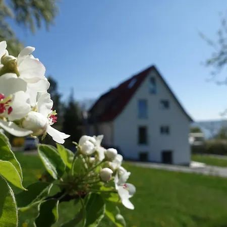 Suessenmuehle Mit Viel Privatsphaere, Direkt Am Naturbadestrand Appartement Sipplingen