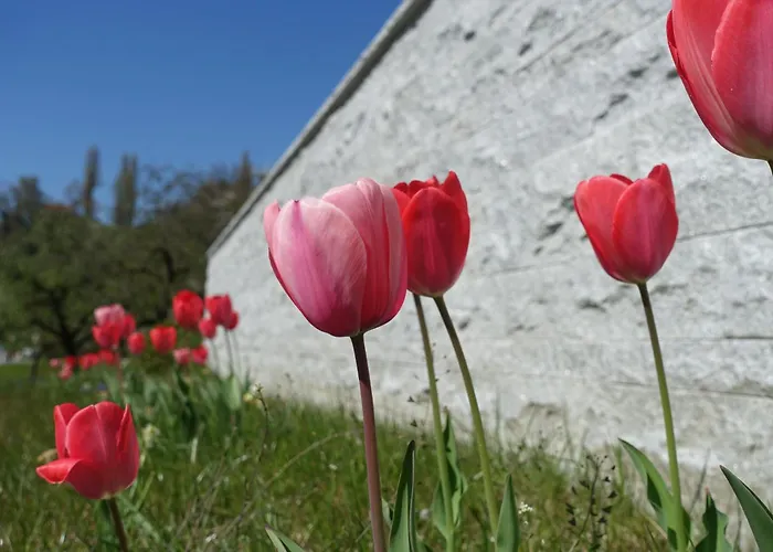 Suessenmuehle * Sipplingen